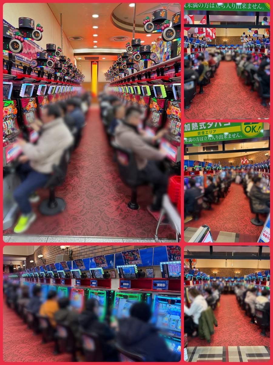 プラスメイド公式 tweet media