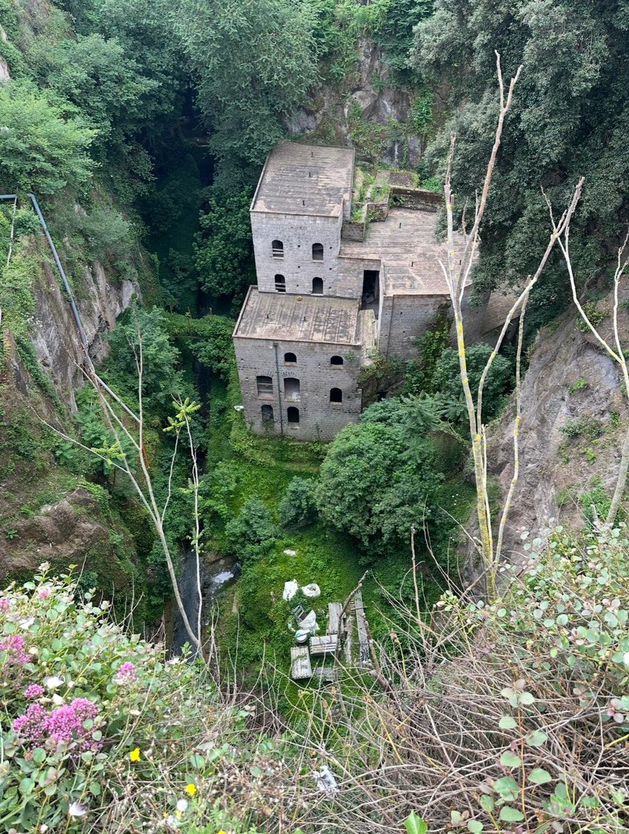 Darth Powell tweet media