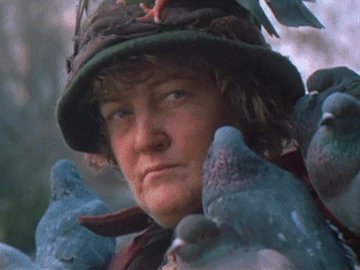 leahrmills's tweet photo. We need the pigeon lady to come save us all @piersmorgan https://t.co/7vWp43GPKx