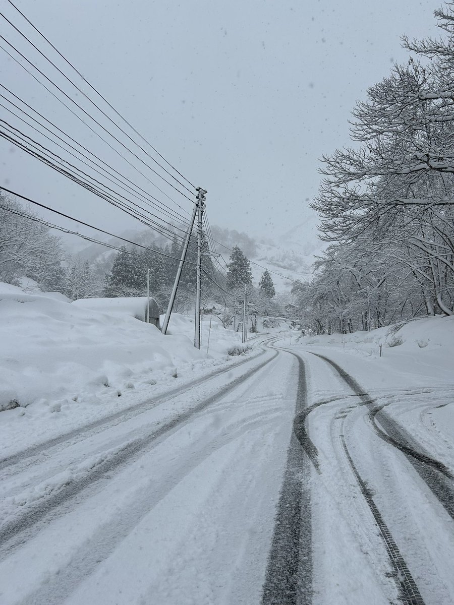 shingo___y's tweet photo. 今日の湯沢方面はハイシーズン並みの雪！！
※写真•動画は魚沼市 https://t.co/KfkE5P6a0A