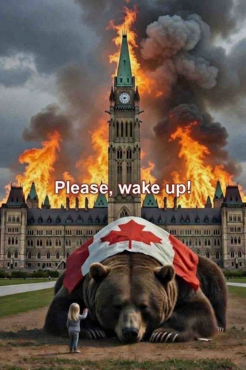 Concerned Canadian tweet media