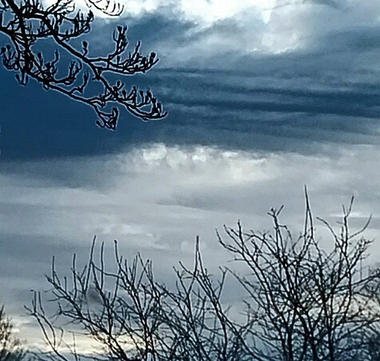 OldBenzSam tweet media