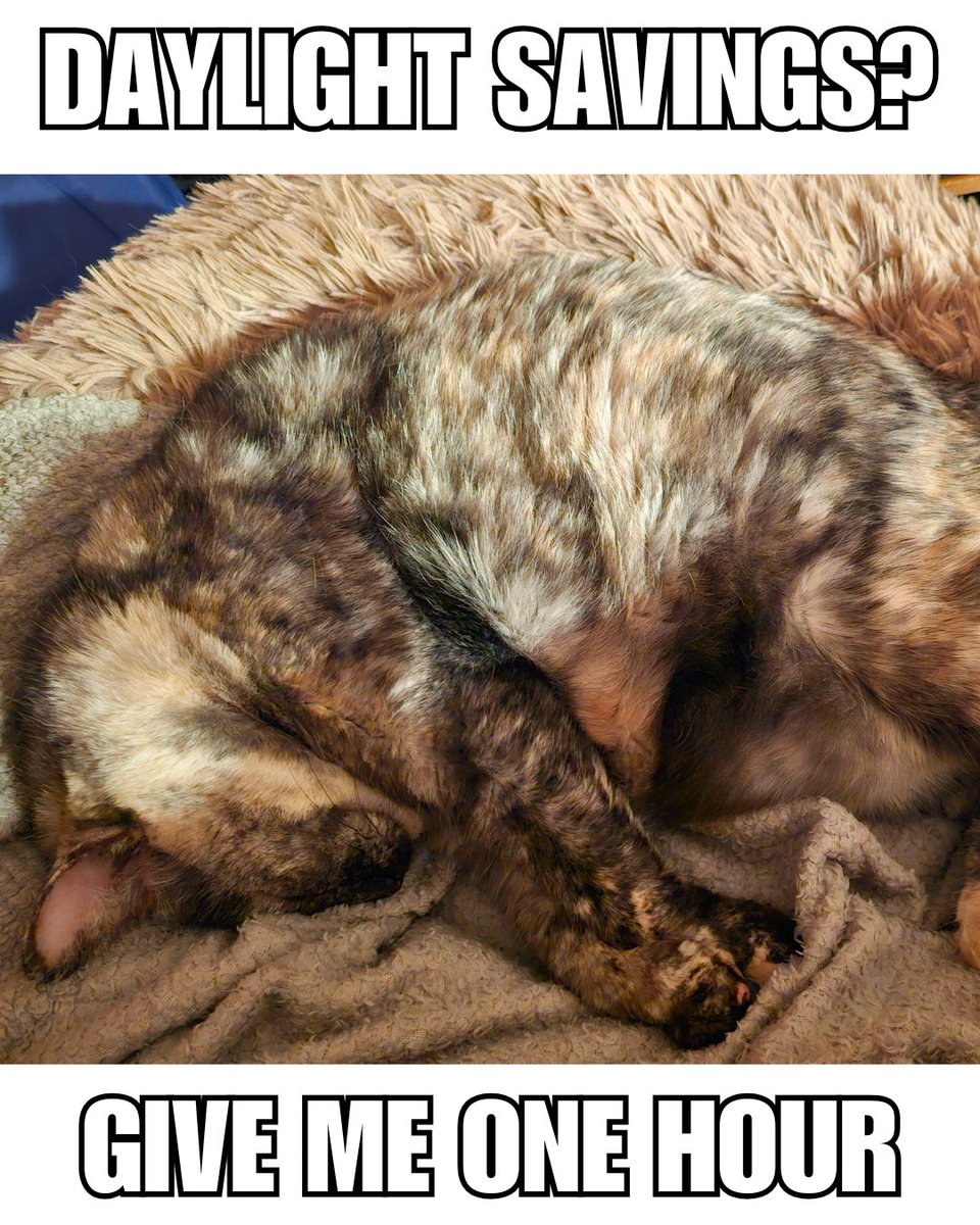 OC Public Libraries tweet media