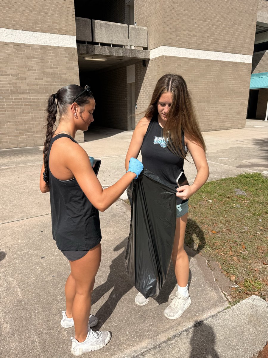 FSCJ Volleyball tweet media