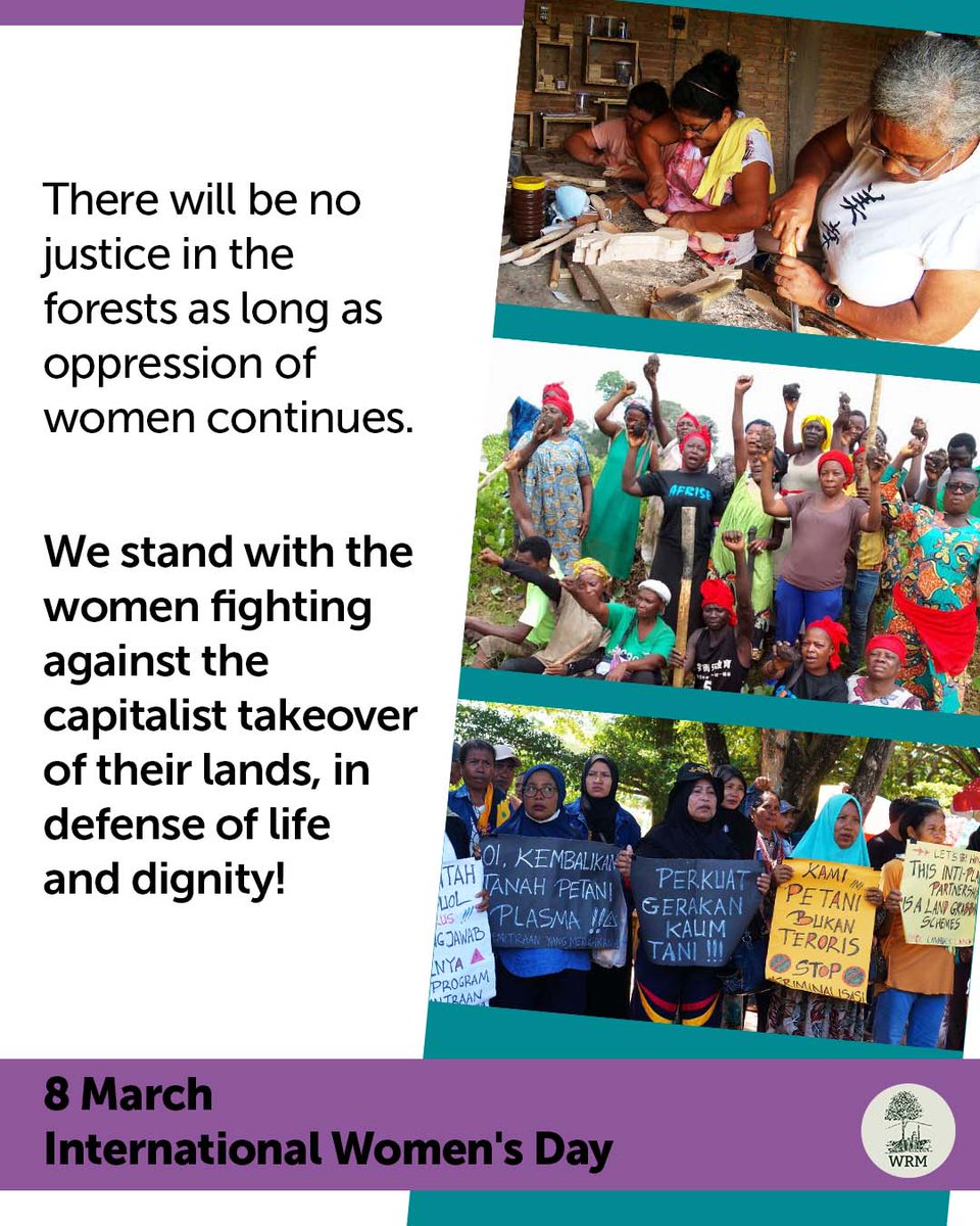 World Rainforest Movement (WRM) tweet media