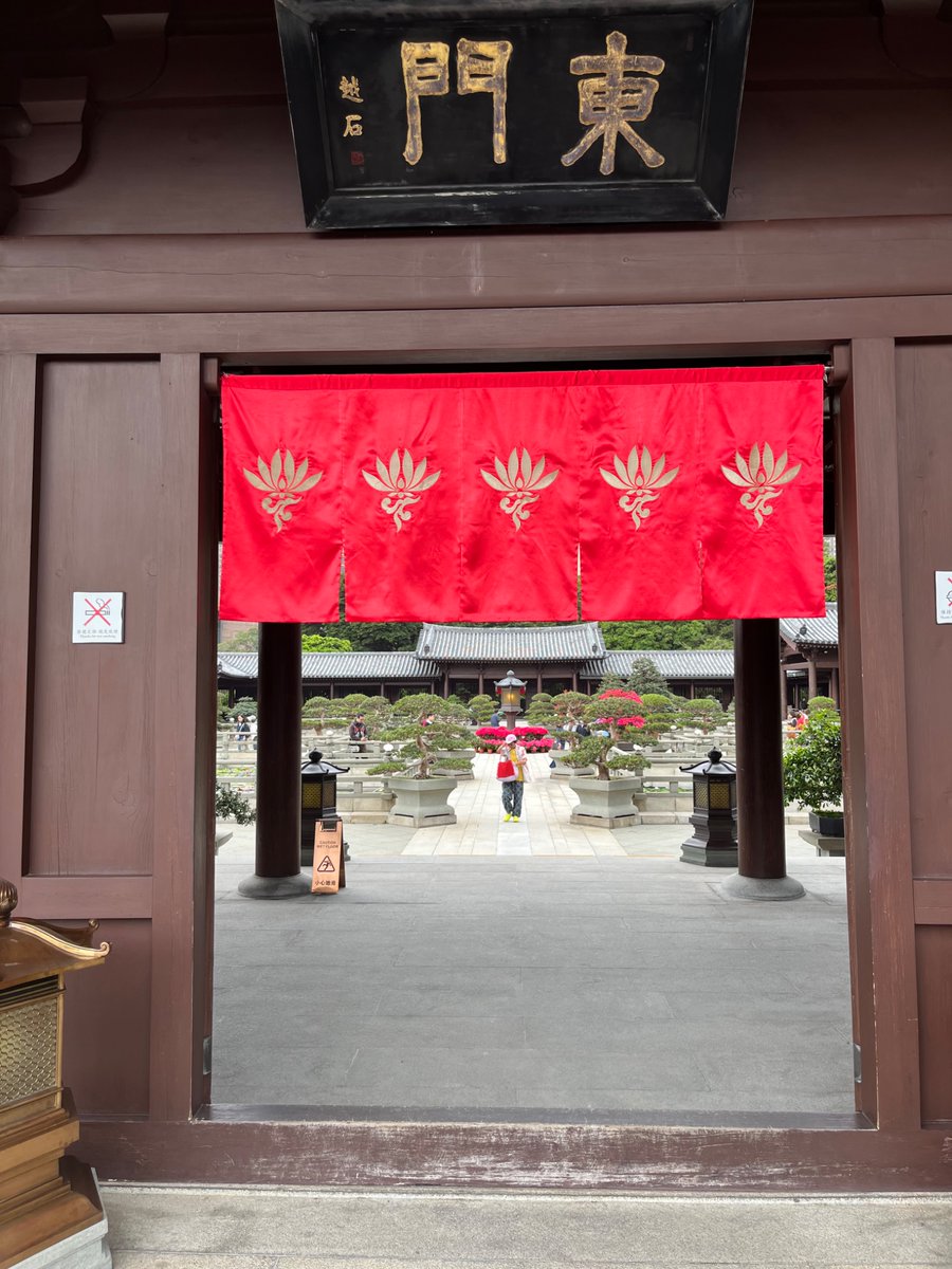 Anne O Nomis tweet media