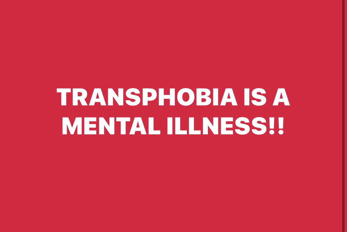 Daniel Lismore tweet media