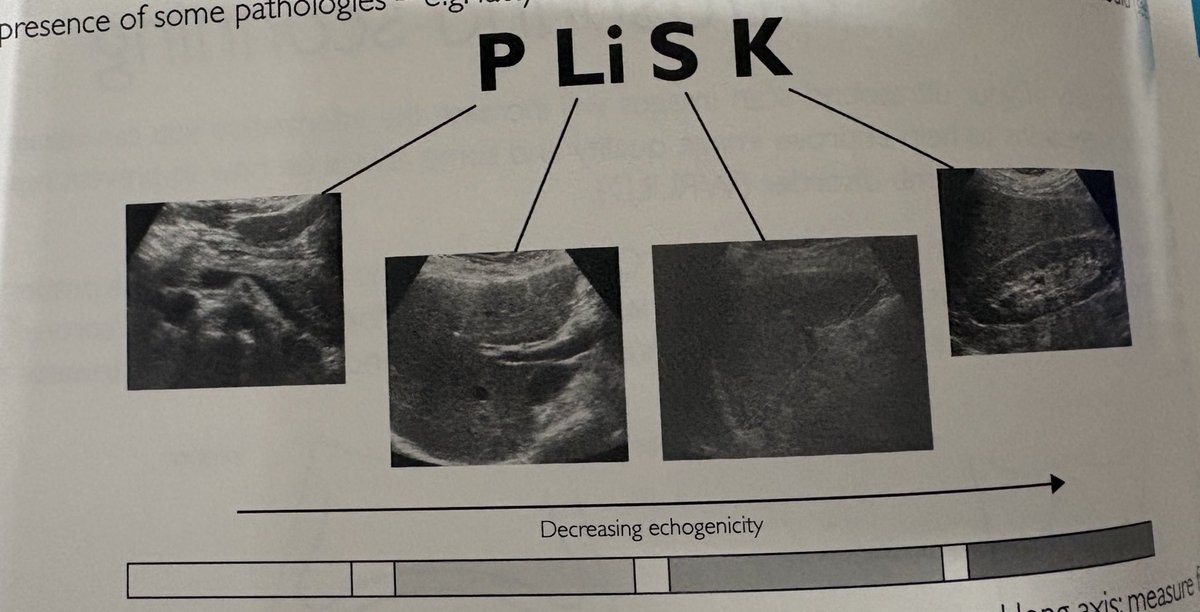 CardioMotorizado tweet media