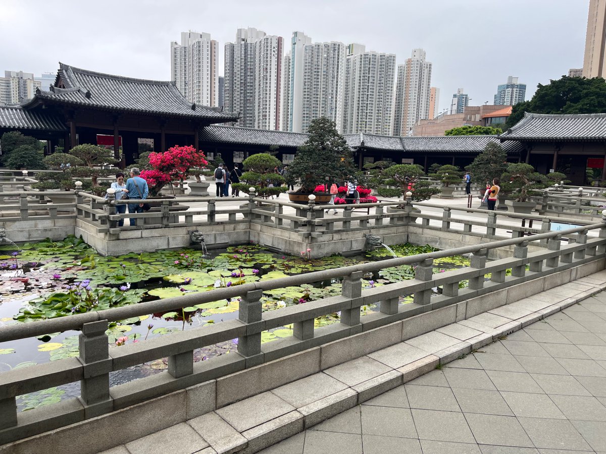 Anne O Nomis tweet media