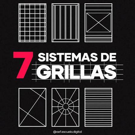 Daniela Salamanca tweet media