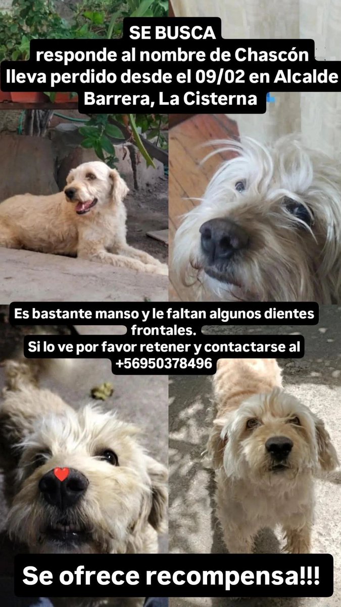 LORE TIN tweet media