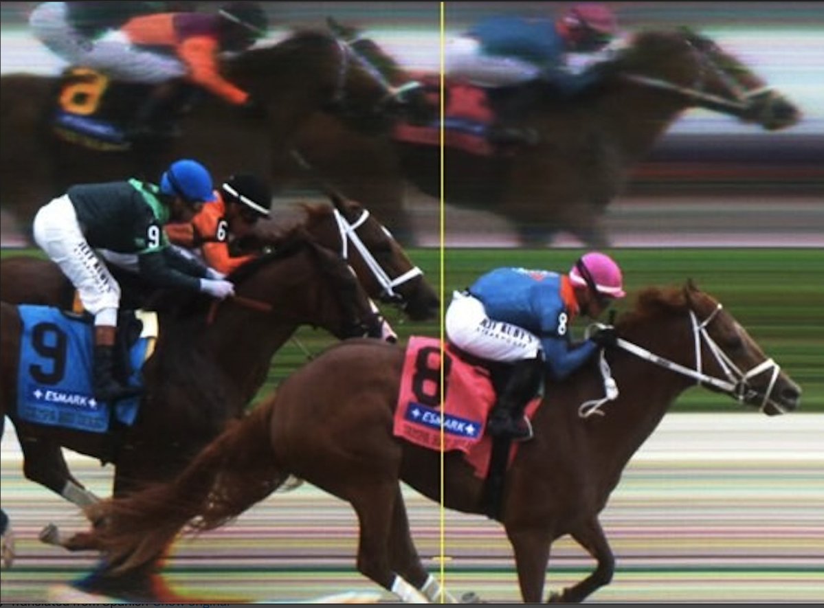 OffTrackBetting.com tweet media