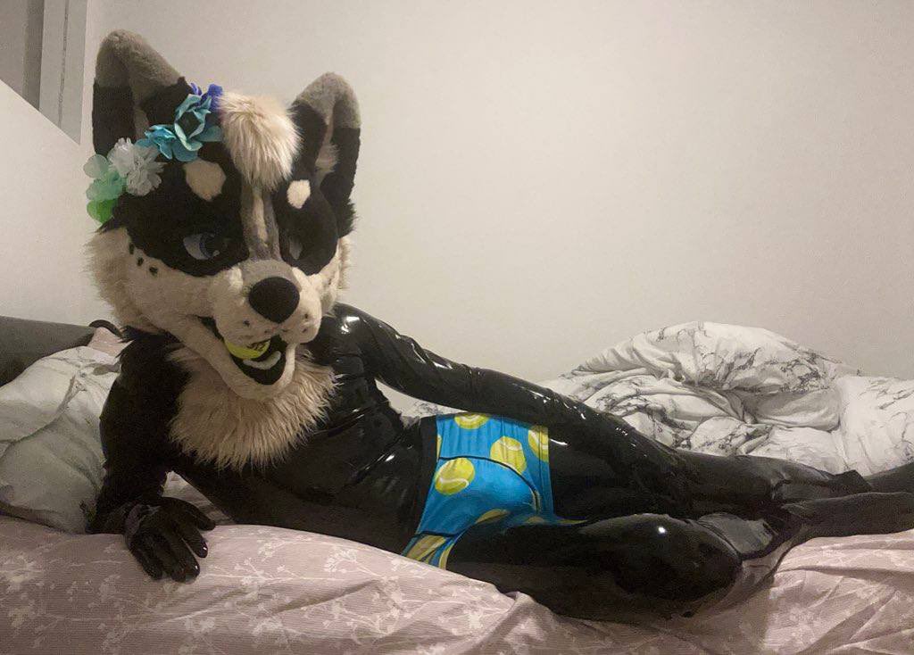 Ziggy Zaggy tweet media