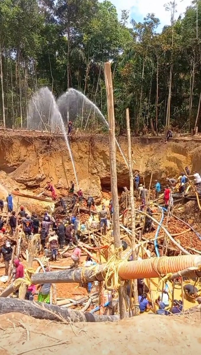 A la fecha, lo cierto es q la actividad aurífera ilegal no se ha desacelerado al #SurDelOrinoco continúa la perdida d bosques , contaminación d aguas y suelos, alteración d la topografía, el avance de una terrible #CulturaMinera y el fortalecimiento de las economías ilícitas ...