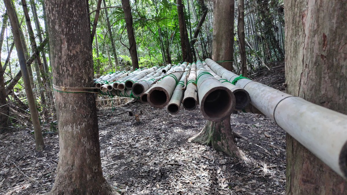 今日はもりのプレーパークに呼んでいただきました。

森の中ってだけでわくわくするから不思議。
心理士として遊びに来た親子の相談に対応します。
“お気軽に相談”って、立ち話や雑談の中にあつたりするんだよな。
#飯盛神社
#プレーパーク