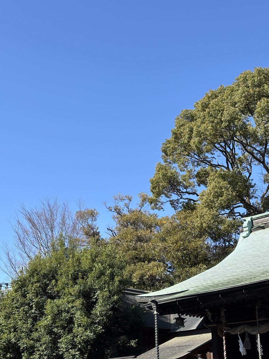 kai_active's tweet photo. ＃イマソラ
＃神社 https://t.co/4mLrrcvTPF