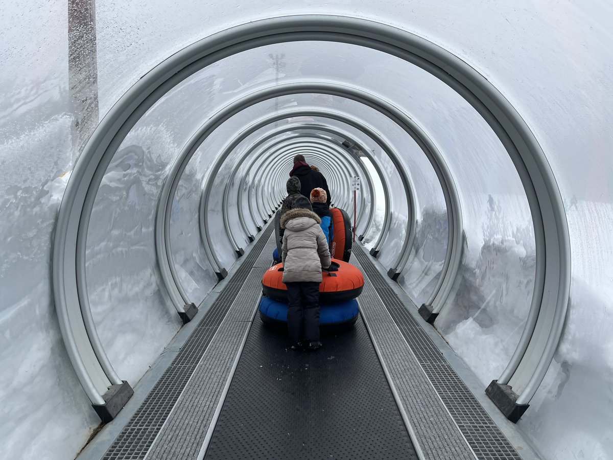 Don Pawluk tweet media