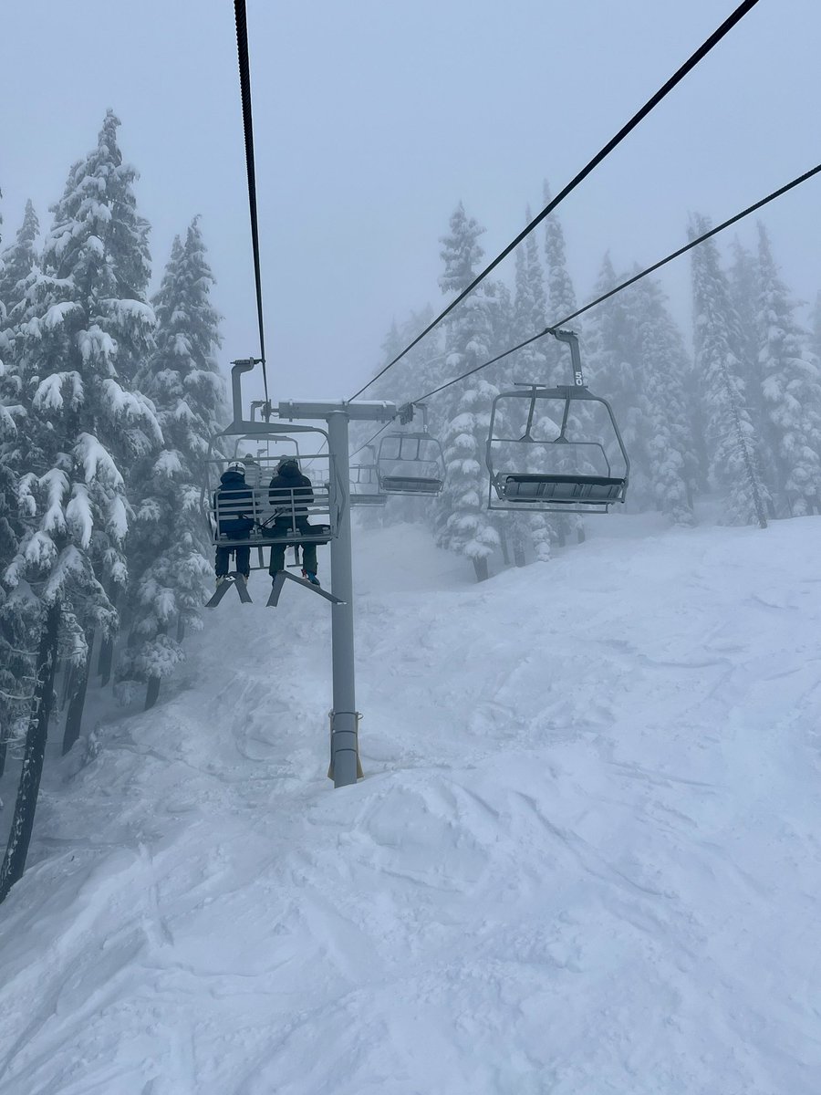 Don Pawluk tweet media