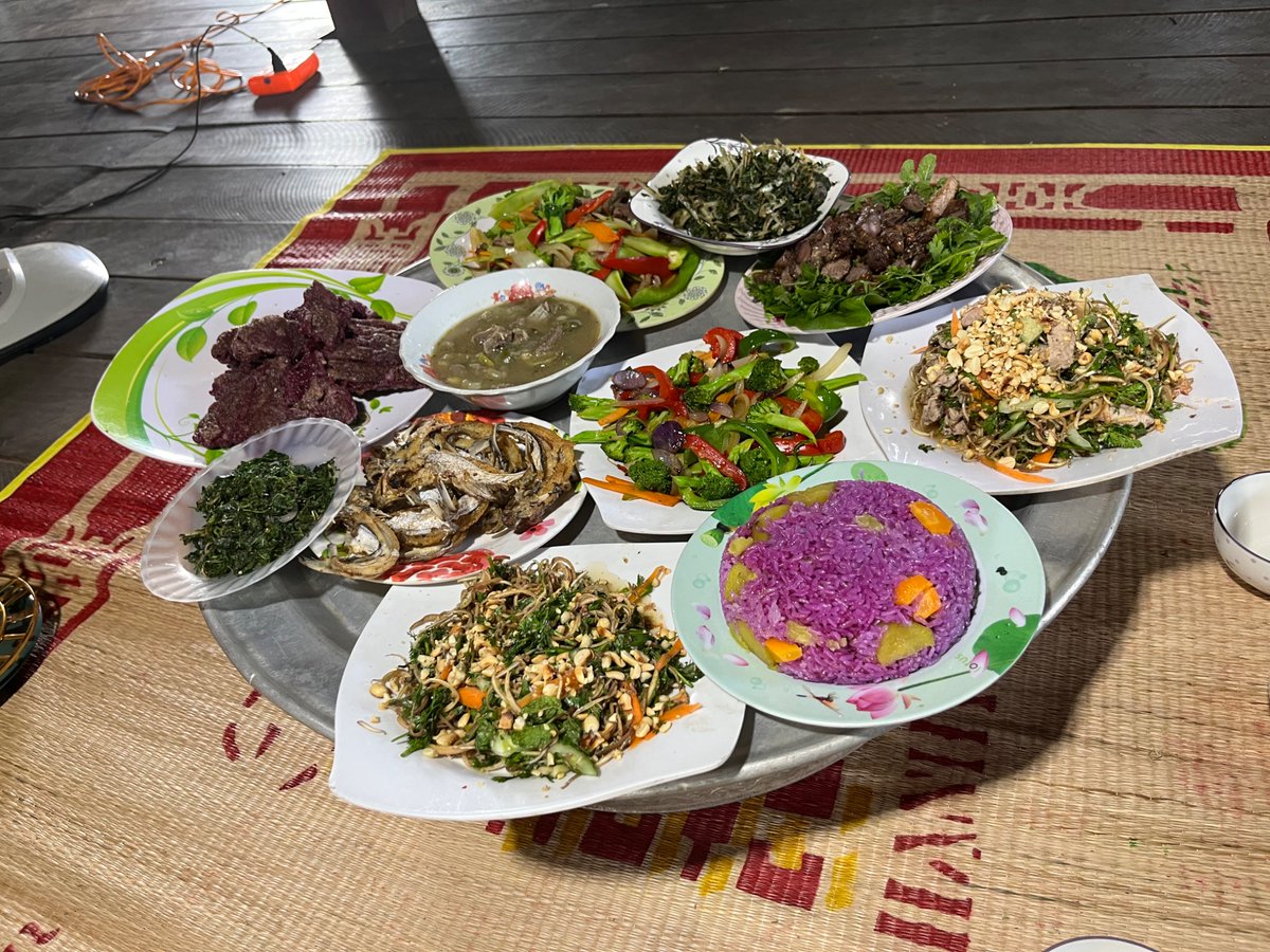 Anne O Nomis tweet media