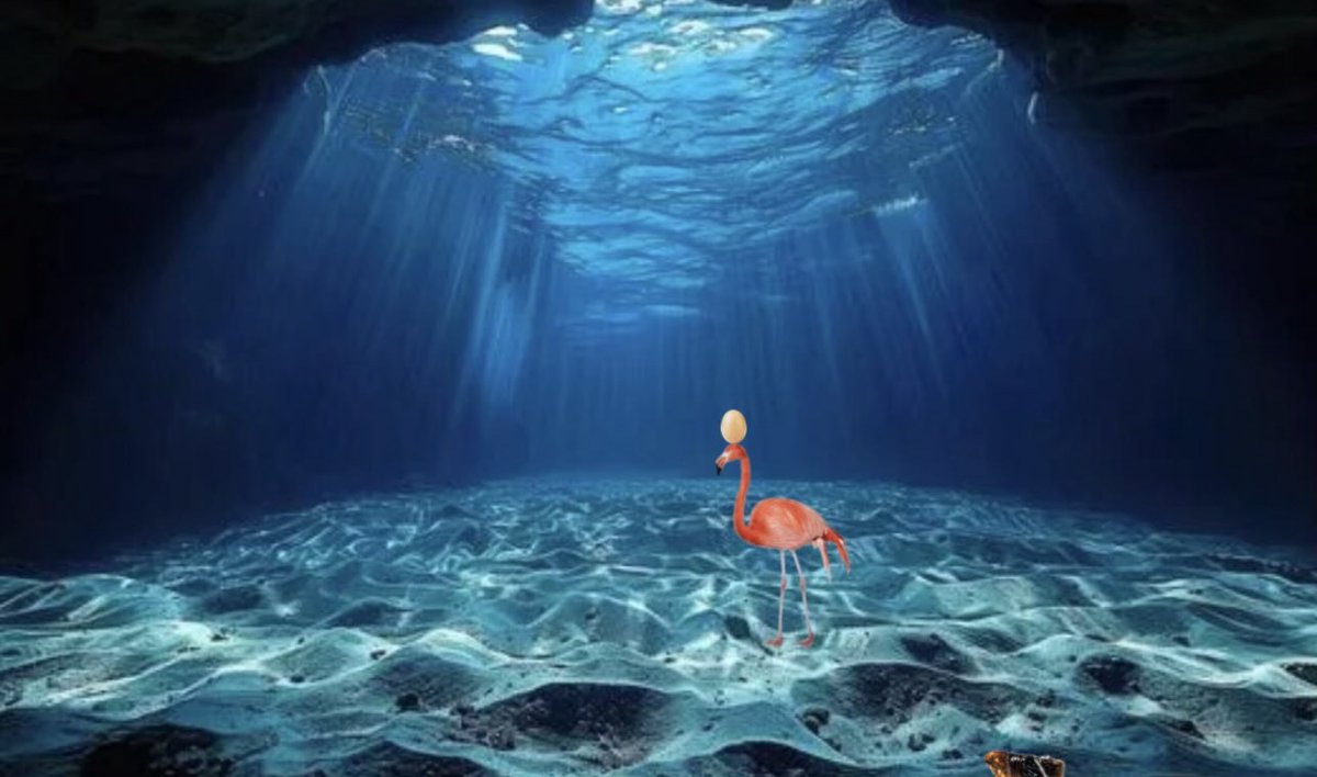 The Flamingo tweet media