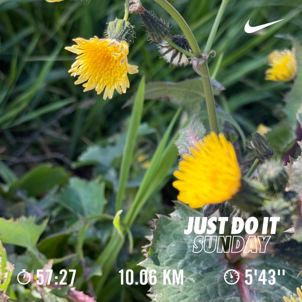 kiyoha97622's tweet photo. 風が冷たい日曜のラン🏃‍♀️💨
昨日よく食べたので消費できた？？🤭

#Just do it
#On Cloudmonster
#外ラン
#ジョギング
#イマソラ
⚪︎本日のBGMはPerfect Night https://t.co/DtyPy1uL8J