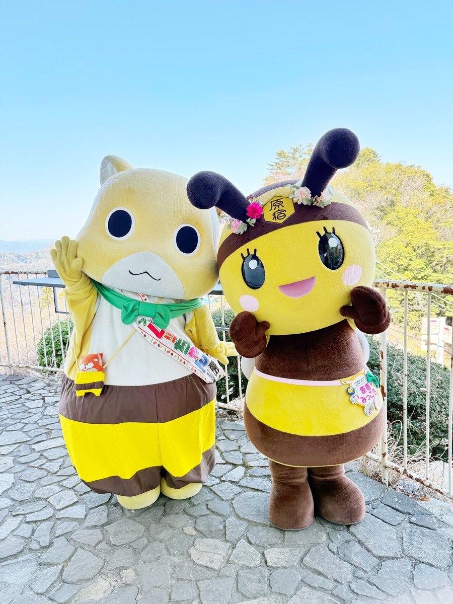 ムッちゃん tweet media