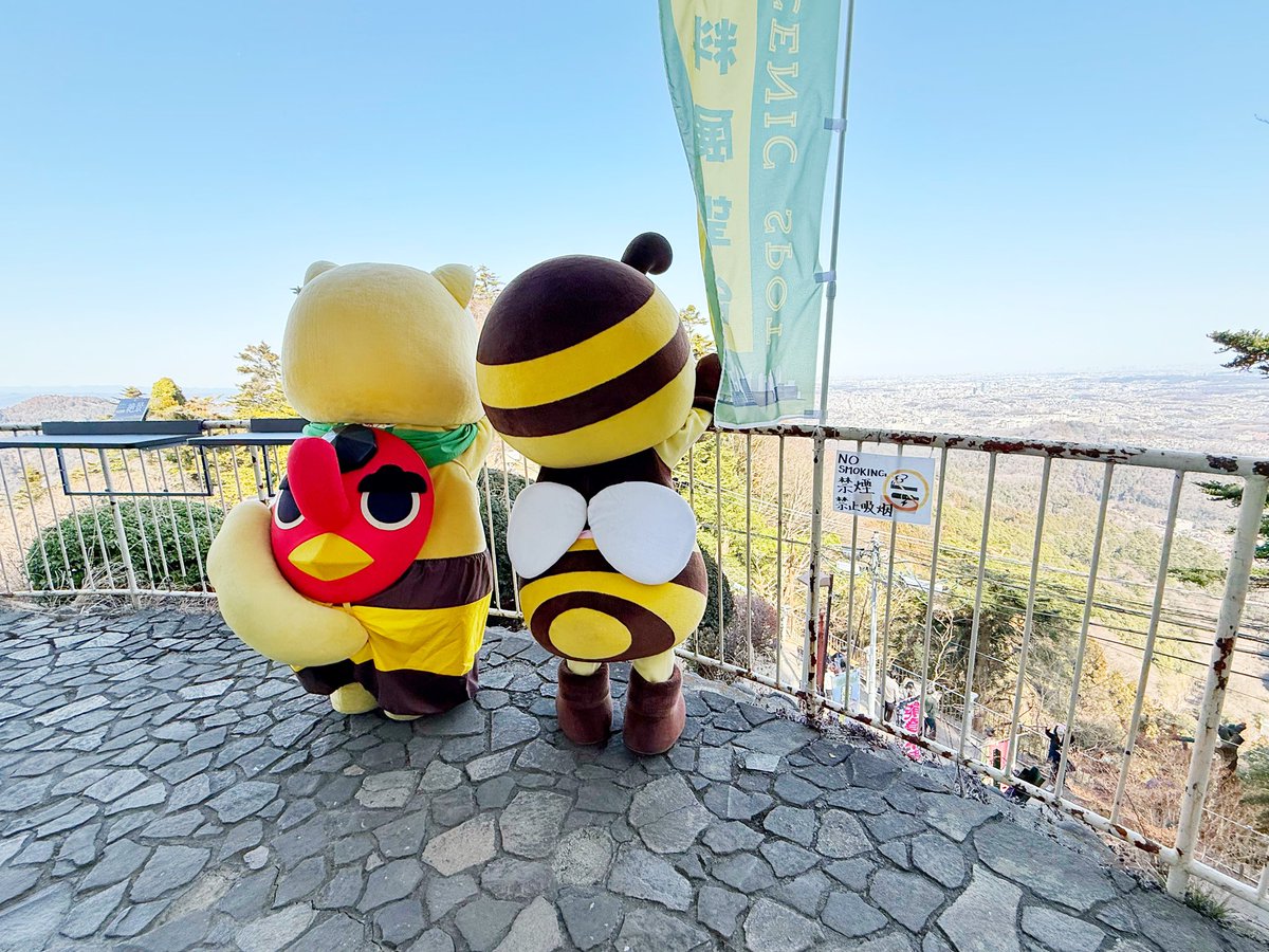 ムッちゃん tweet media