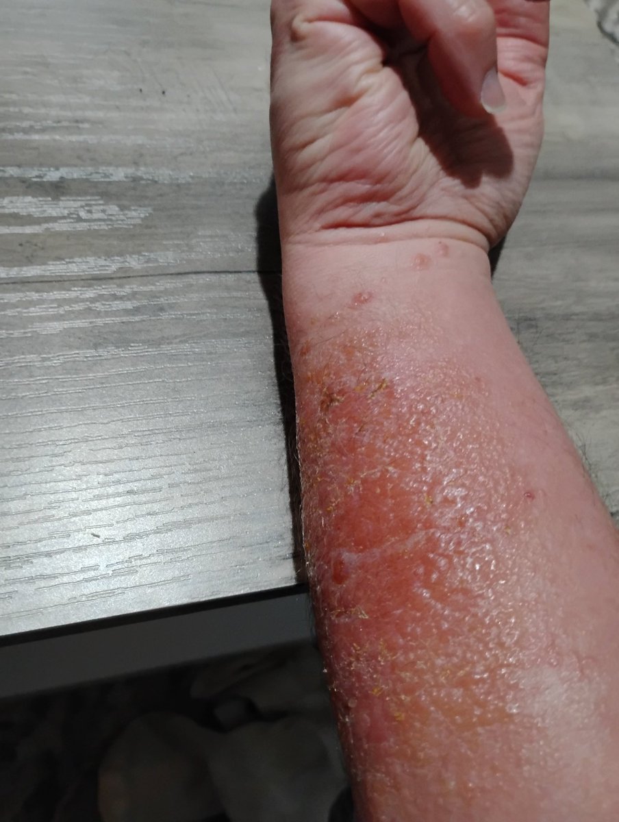 Ron McGovney tweet media