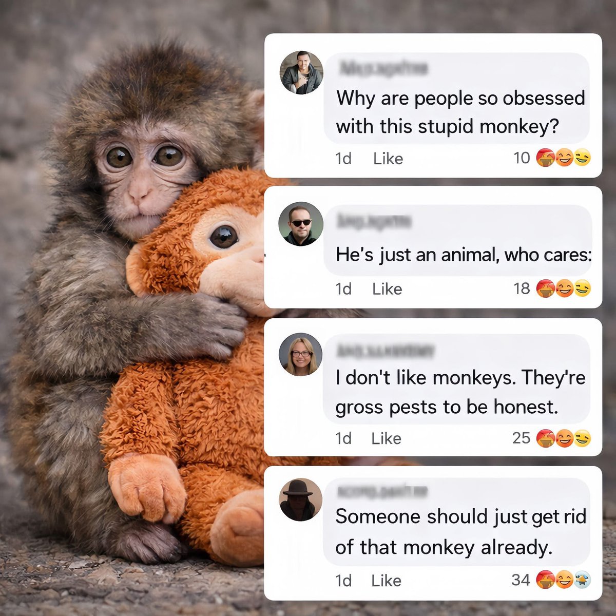 He's just a baby… so why does he receive so much hate? Every time I ...