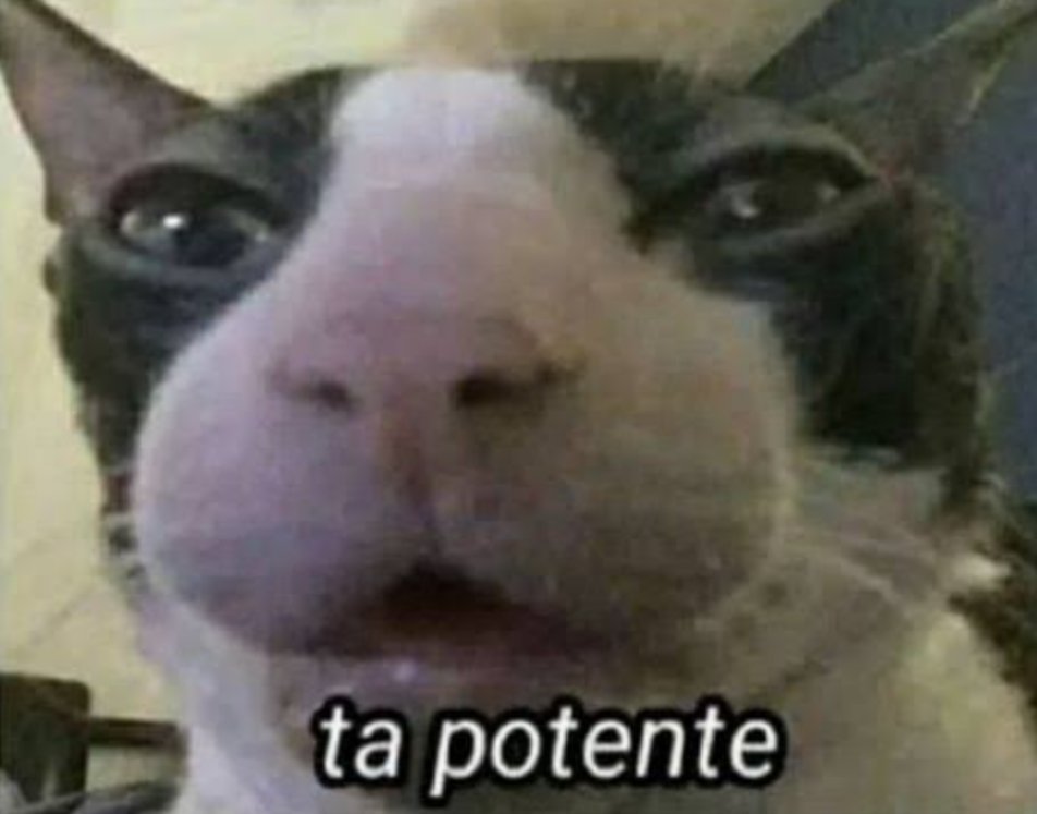 Guilherme tweet media