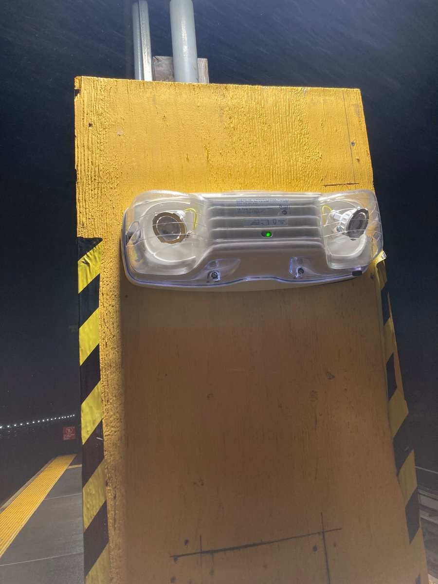 ThomasPatrickMaguire tweet media