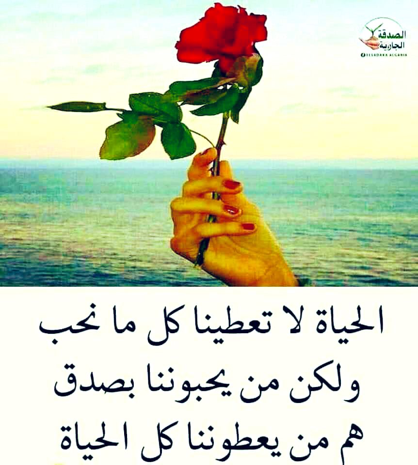 Asjz tweet media