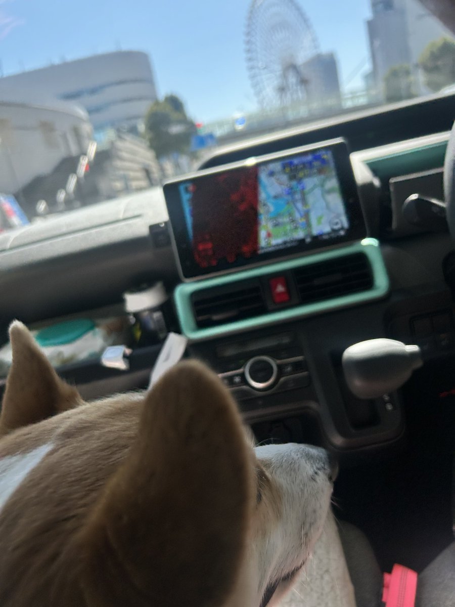 桃たろー🍑小平コギ tweet media