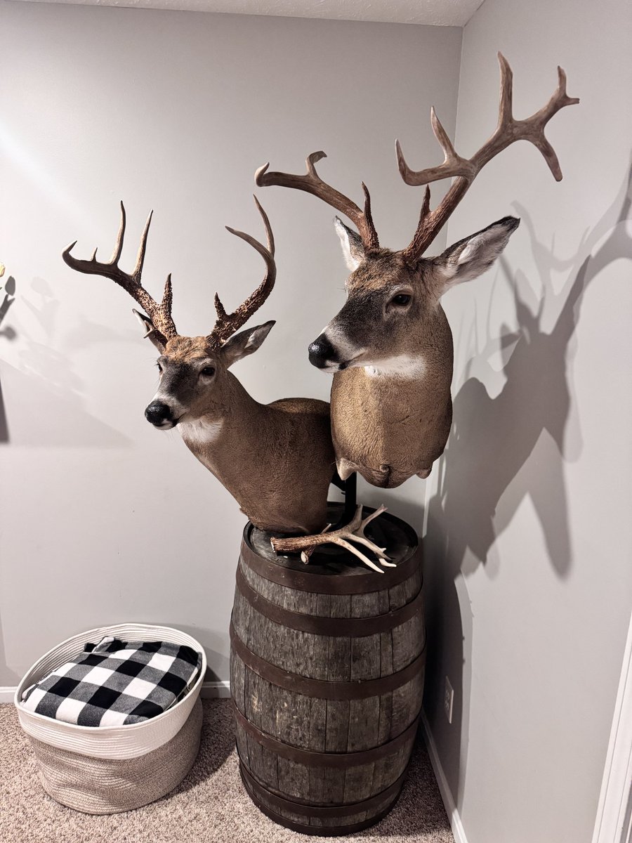 Stephen Russ tweet media