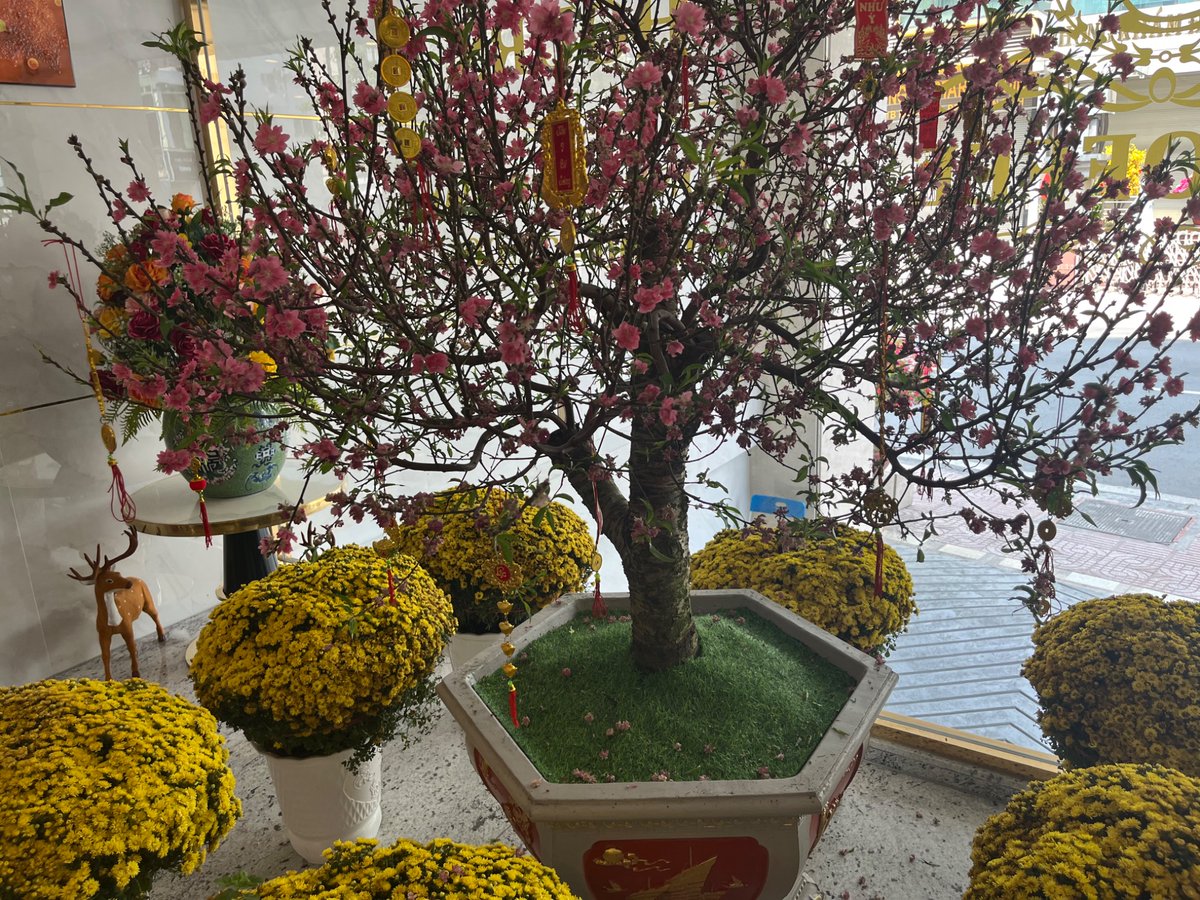 Anne O Nomis tweet media