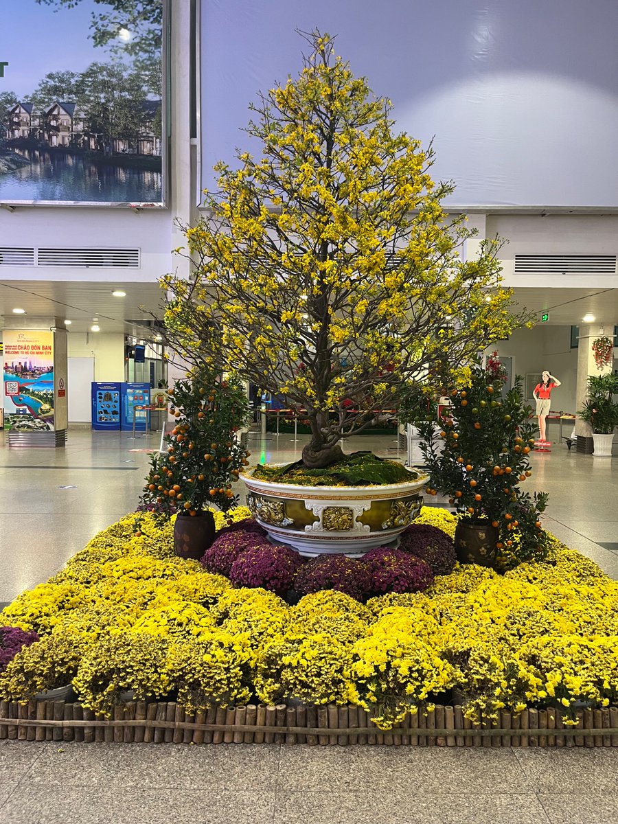 Anne O Nomis tweet media