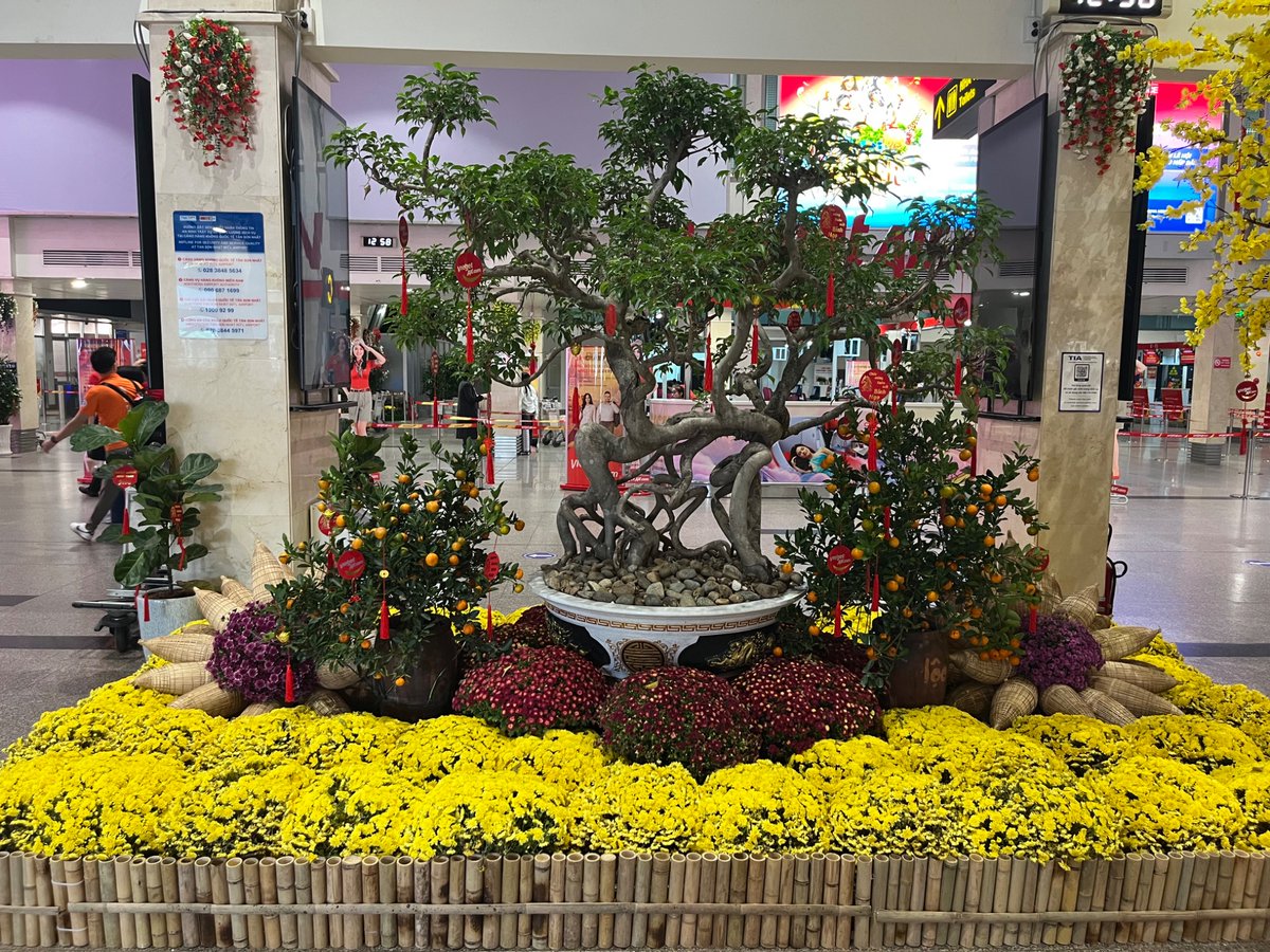 Anne O Nomis tweet media