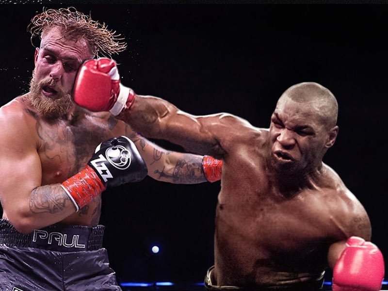 BoxingPup tweet media