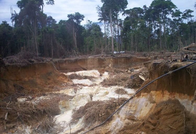 Sigue la debastación  en la zona sur del nuestro rio padre orinoco bajo la mirada inerte de las autoridades del regimén basta de este ecosidio.🇻🇪🆘🆘