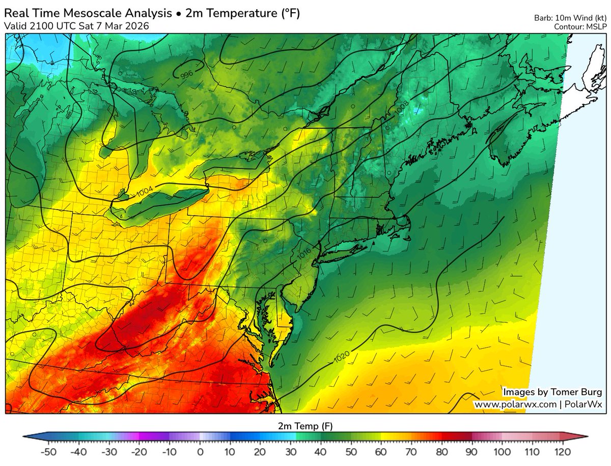 Tomer Burg tweet media
