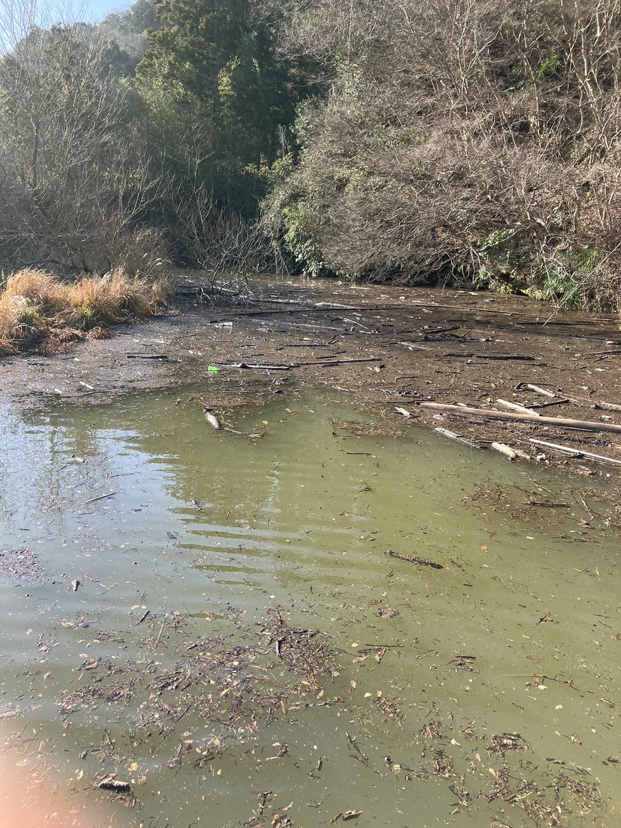 ログイン勢Y田 tweet media