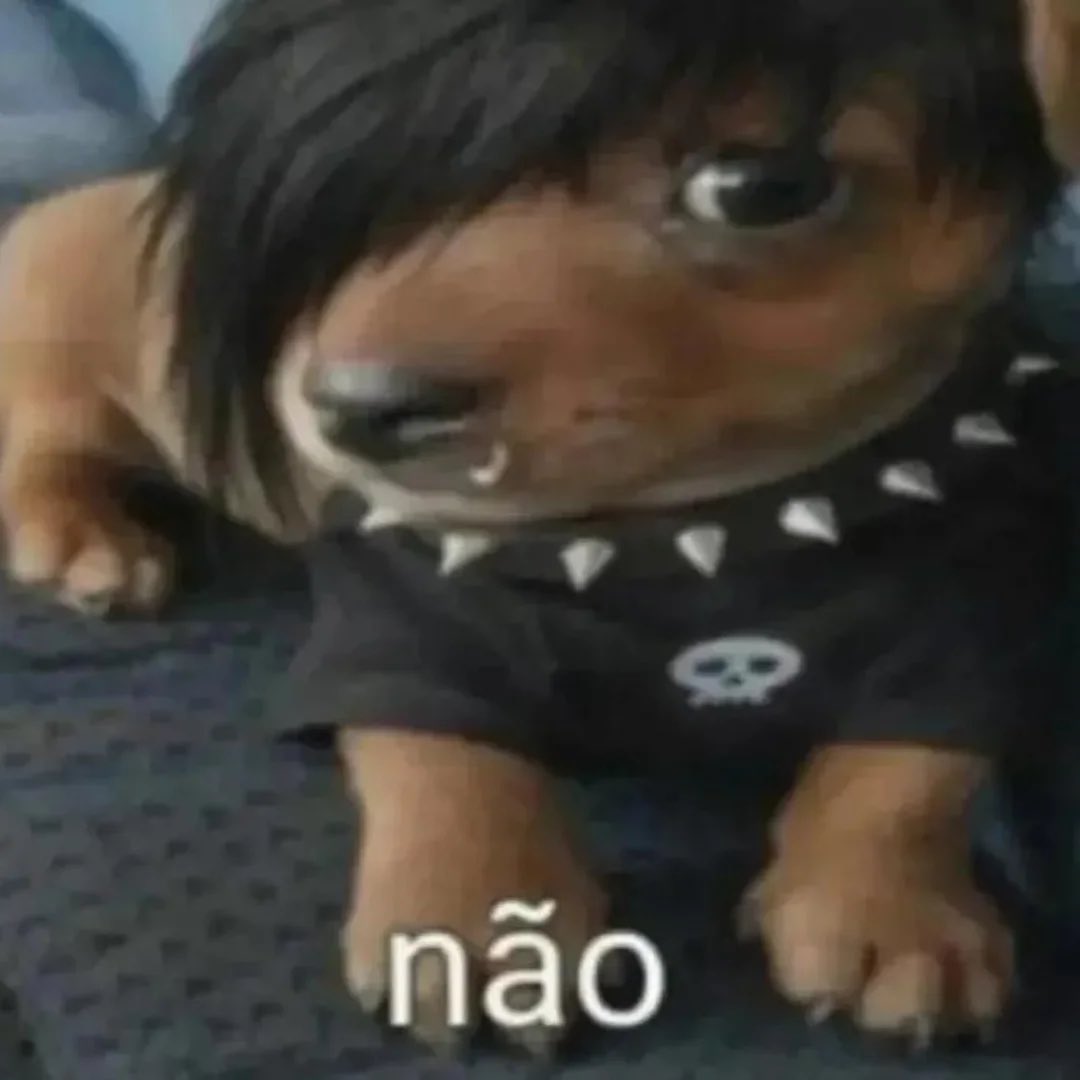 Herbert Neto tweet media