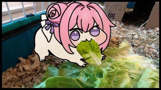 Elvis-Take tweet media