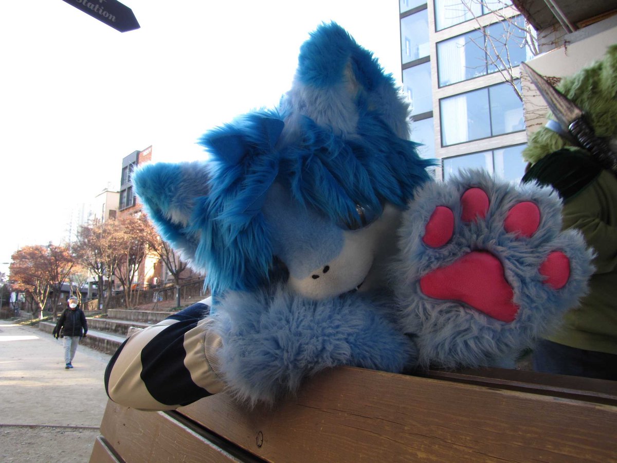 푸른 여우 | BlueF08 tweet media