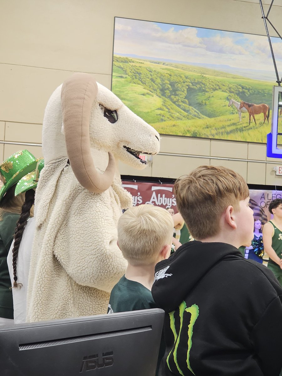 Annie Fowler tweet media