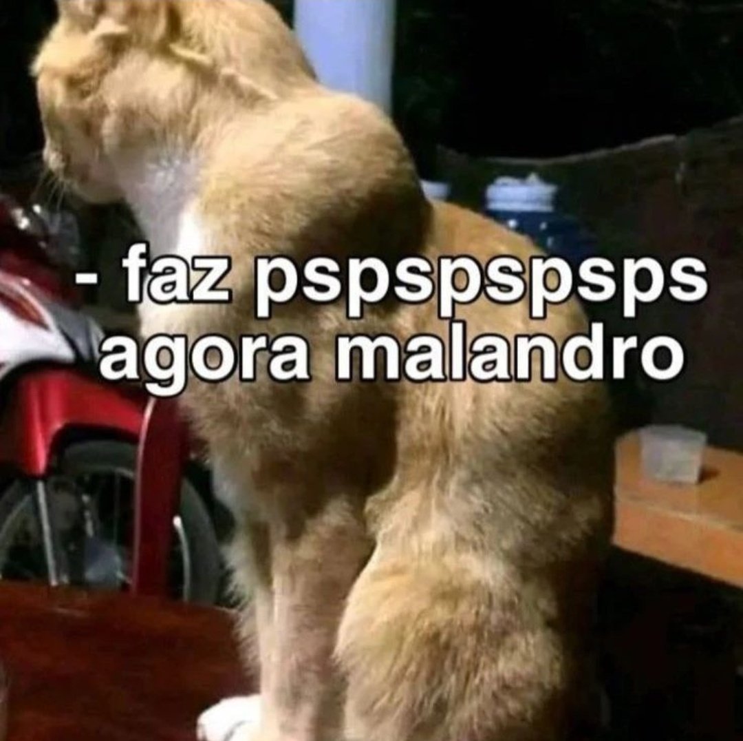 Calvo 😔 tweet media