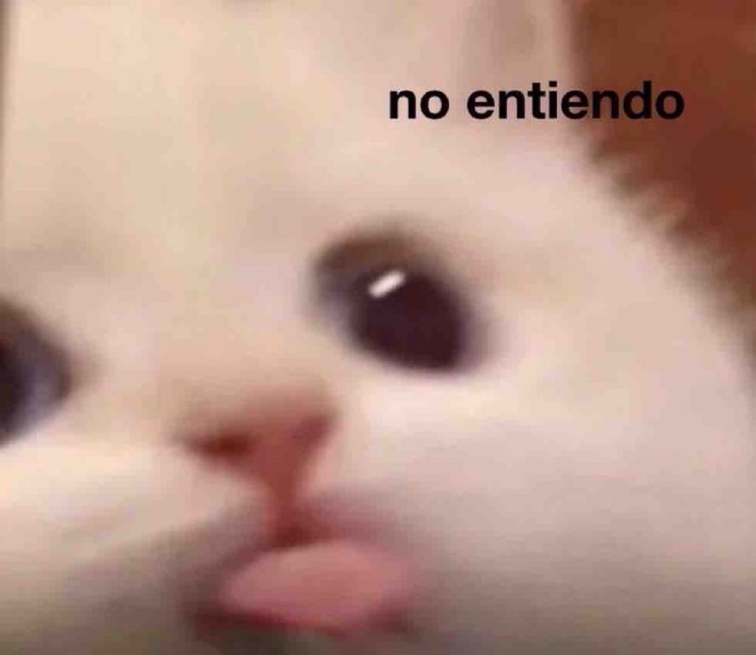 Guarromantico_'s tweet photo. Yo después de una DIRECTA muy DIRECTA. https://t.co/mU739M5bEe