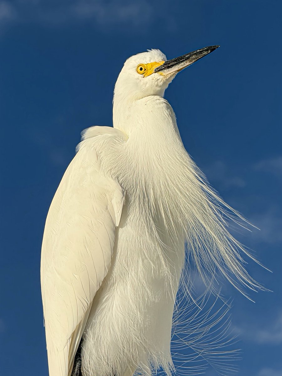 Bryan Bennett tweet media