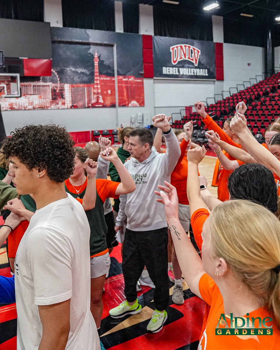 Colorado State Women's Basketball tweet media