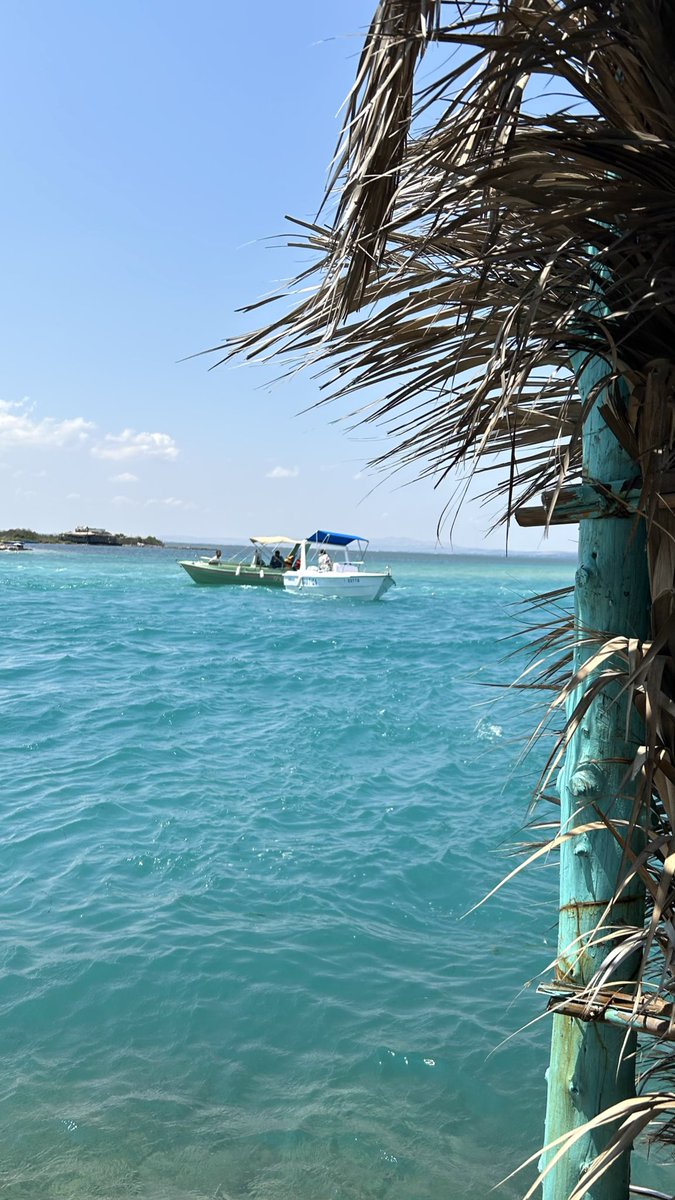 hessouloulou tweet media